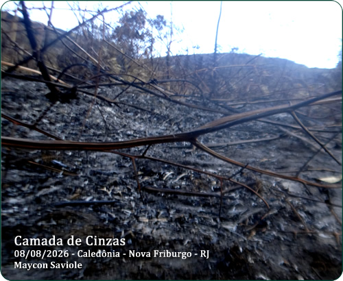 cinzas